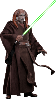 Star Wars Saesee Tiin™ Sixth Scale Figure 