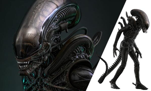 Xenomorph