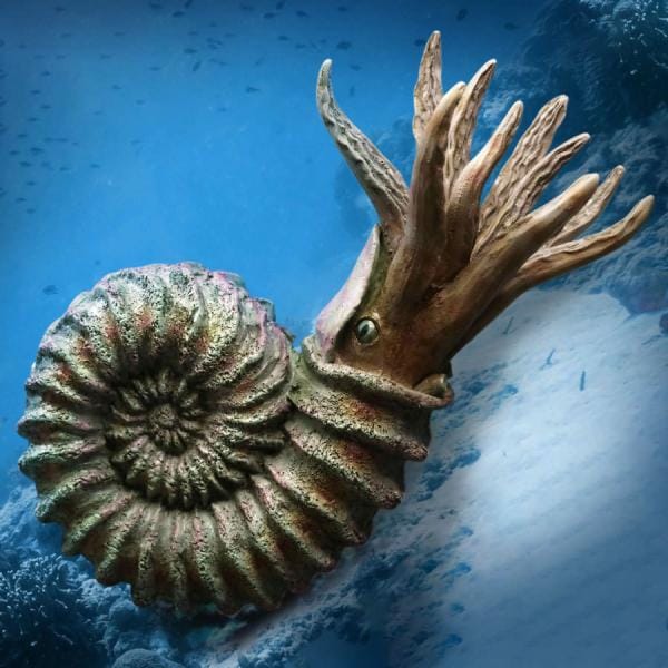 Nautilus Miniature Frame & Fossil Deluxe Scaled Replica