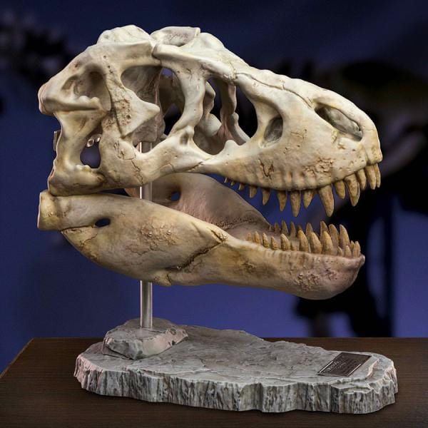 T-Rex Head Skull Scaled Replica