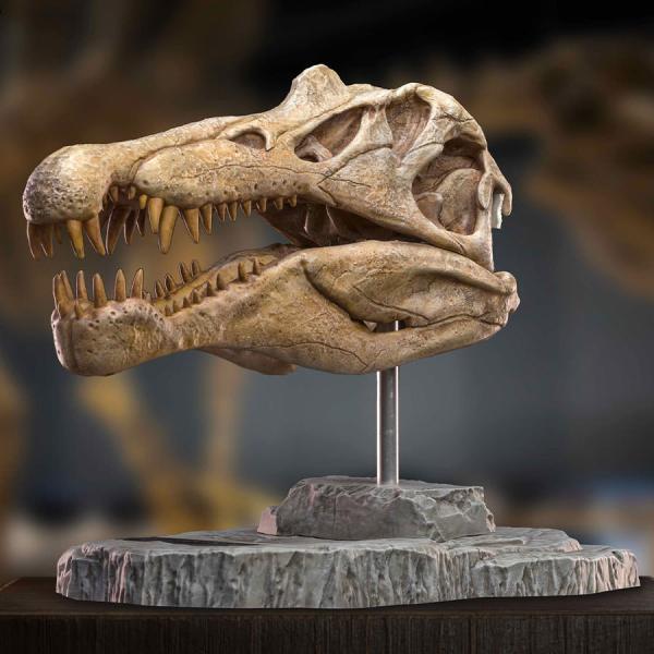 Spinosaurus Head Skull Scaled Replica