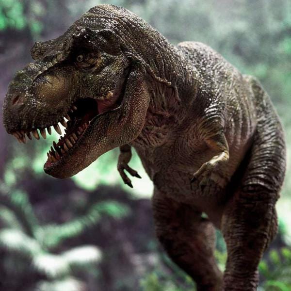 Tyrannosaurus-Rex Collectible Figure