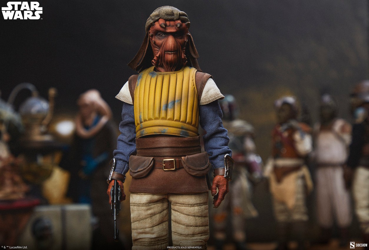 Star Wars Vizam™ Sixth Scale Figure - Prototype Shown View 3