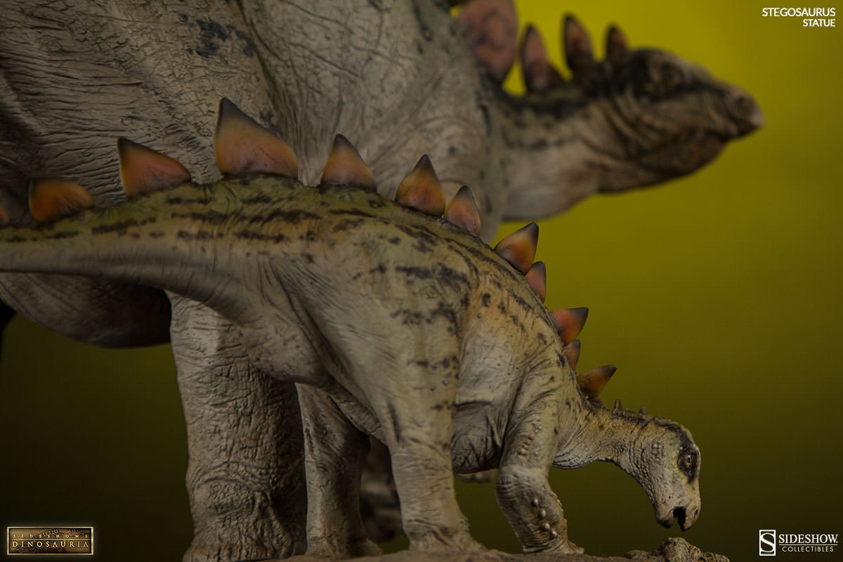 Dinosauria Stegosaurus Statues  View 6