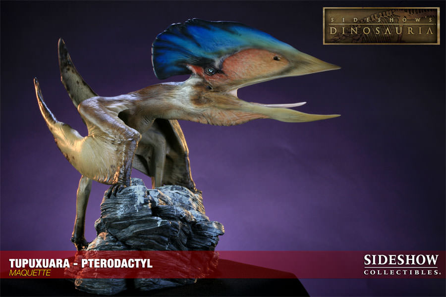 Dinosauria Tupuxuara - Pterodactyl Maquette  View 4
