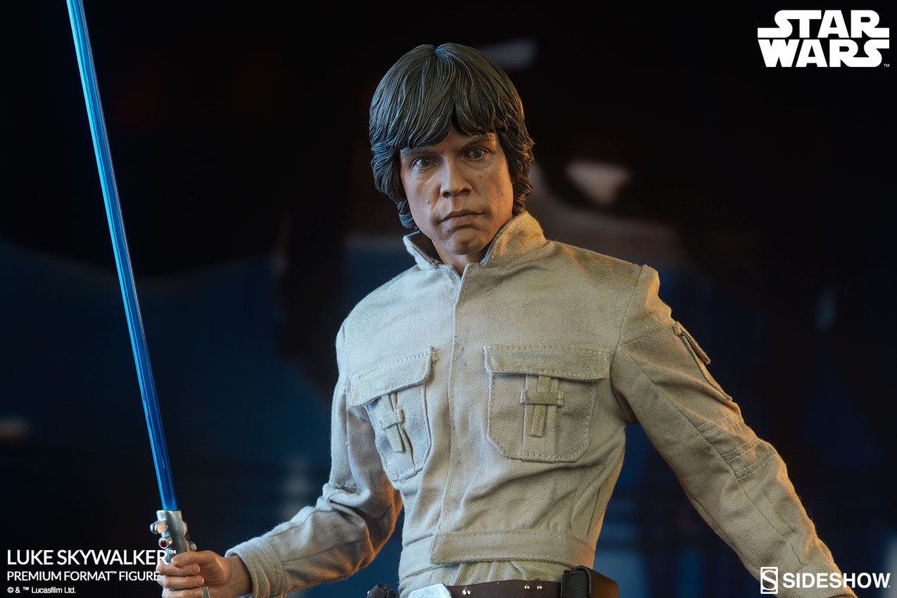 Luke Skywalker Collector Edition  View 1