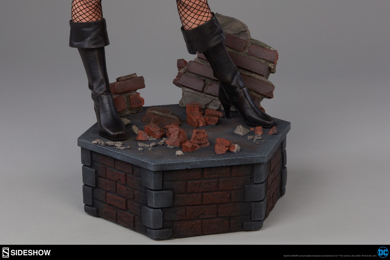 Black Canary Collector Edition  View 5