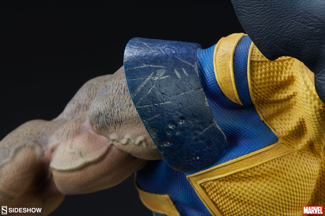Wolverine Collector Edition  View 2