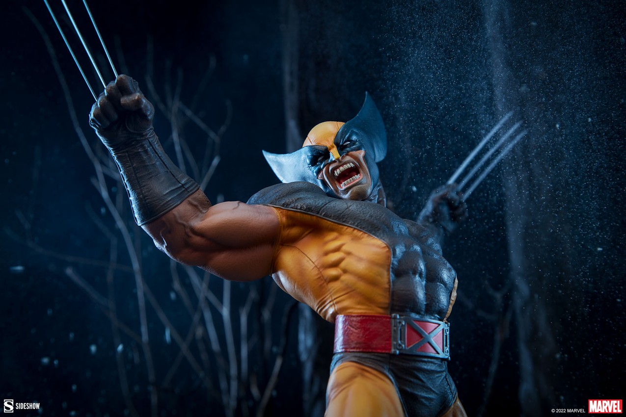 Wolverine Collector Edition  View 5