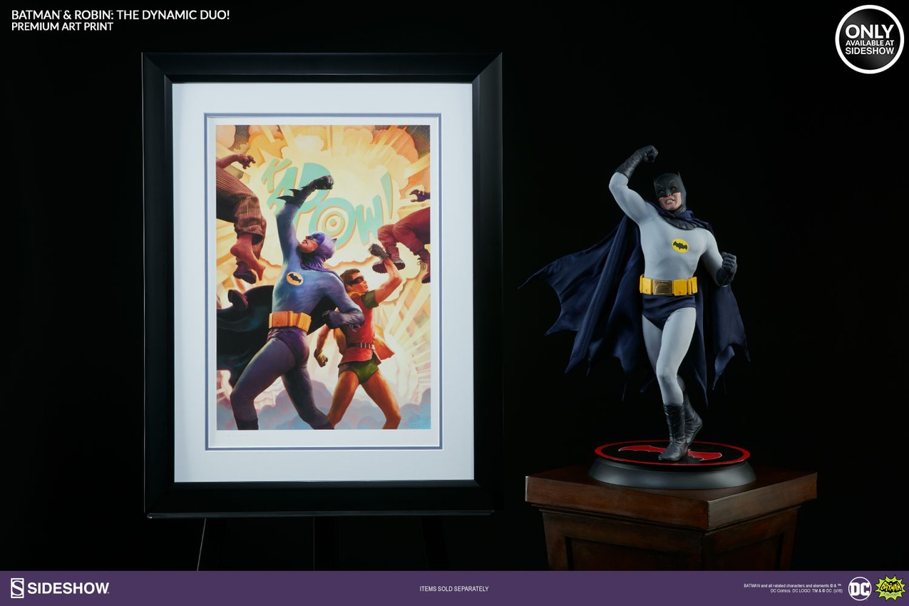 Batman Robin The Dynamic Duo Exclusive Edition 