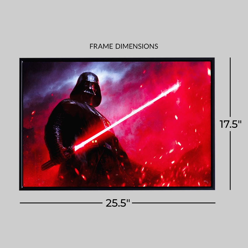 Star Wars Darth Vader™: Dark Lord of the Sith™ Art Print  Exclusive Edition  View 2