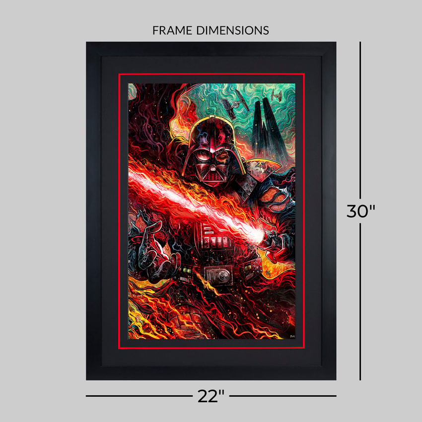 Star Wars Darth Vader™: Dark Lord's Fury Art Print  Exclusive Edition  View 2