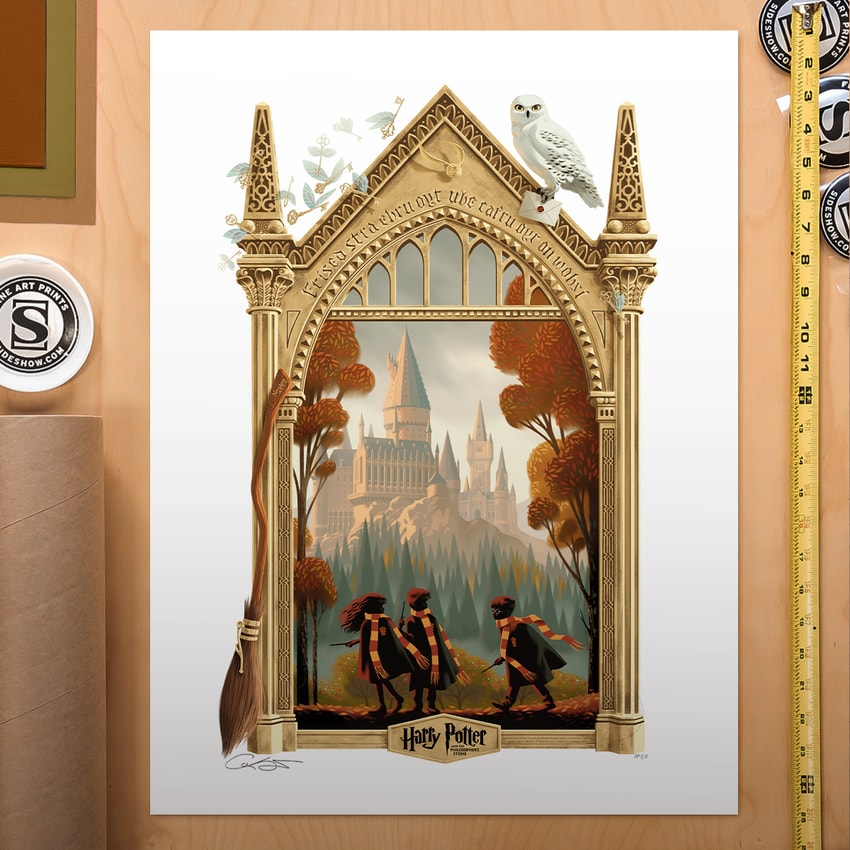 Harry Potter Harry Potter and the Philosopher’s Stone Variant Movie Poster  Exclusive Edition  View 1