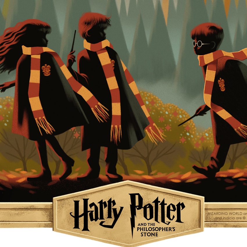 Harry Potter Harry Potter and the Philosopher’s Stone Variant Movie Poster  Exclusive Edition  View 5