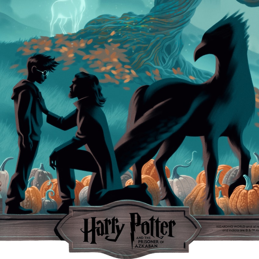 Harry Potter Harry Potter and the Prisoner of Azkaban Movie Poster  Exclusive Edition  View 3