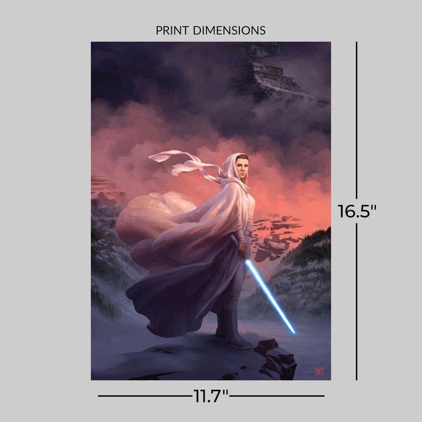 The Art of Star Wars スター・ウォーズ THE ART OF FILM スター・ウォーズ篇』 販売ページ | 復刊ドットコム