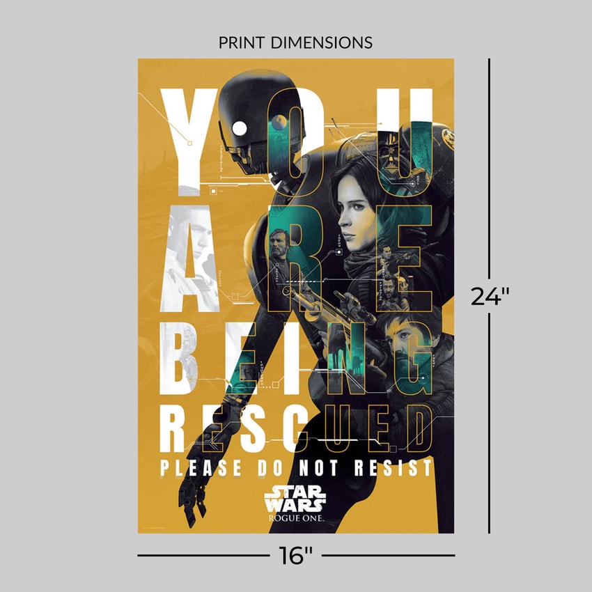 Star Wars You Are Being Rescued Movie Poster  View 2