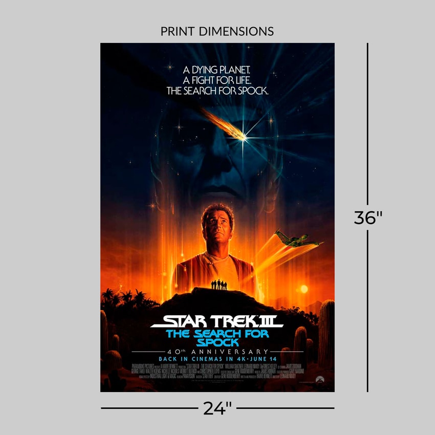 Star Trek III: The Search for Spock Art Print by Vice Press