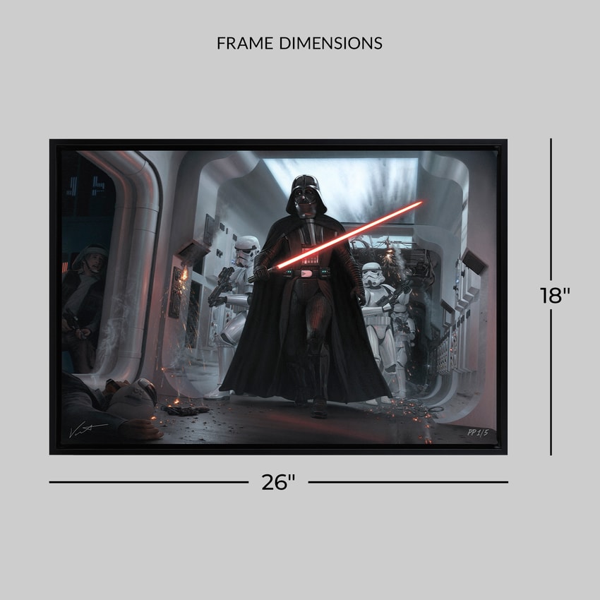 Star Wars Darth Vader™: Assault on Tantive IV Art Print  Exclusive Edition  View 2
