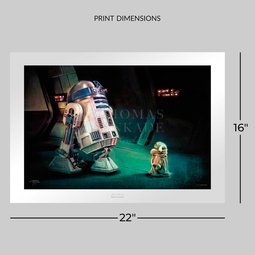Star Wars First Meeting Art Print  View 2