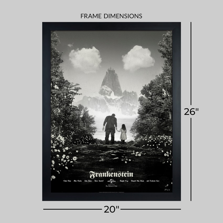 Universal Monsters Frankenstein Movie Poster  Exclusive Edition  View 2