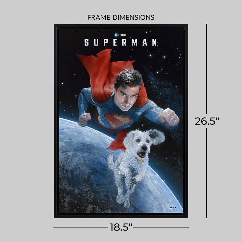 DC Comics Superman™ and Krypto™ Movie Poster  Exclusive Edition  View 2