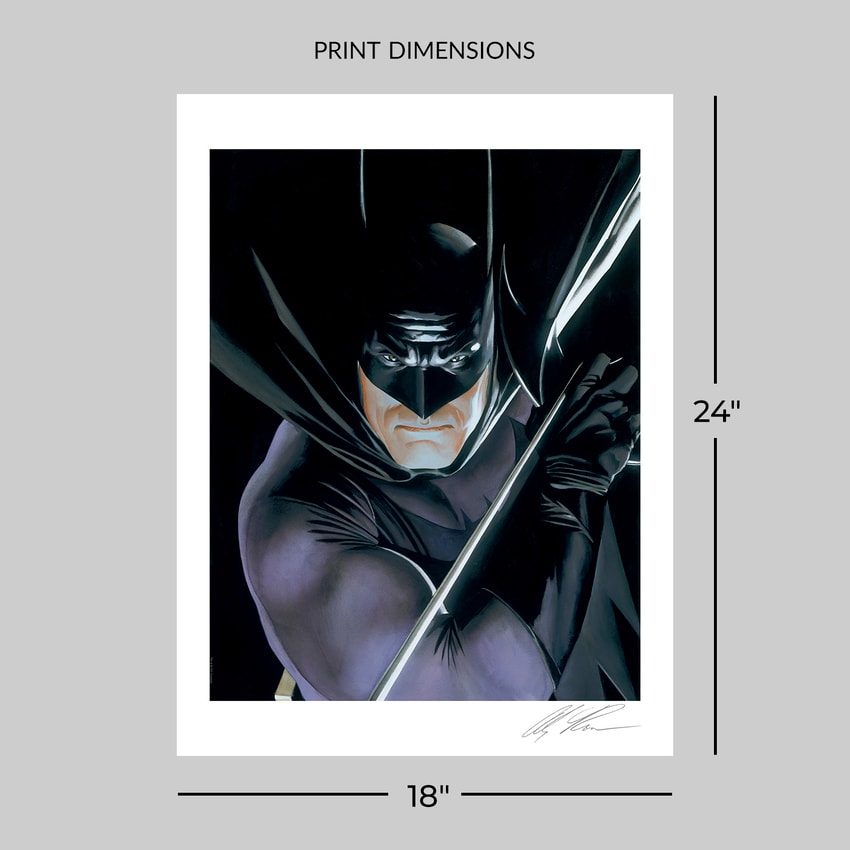 DC Comics Batman™: Mythology Art Print  View 2