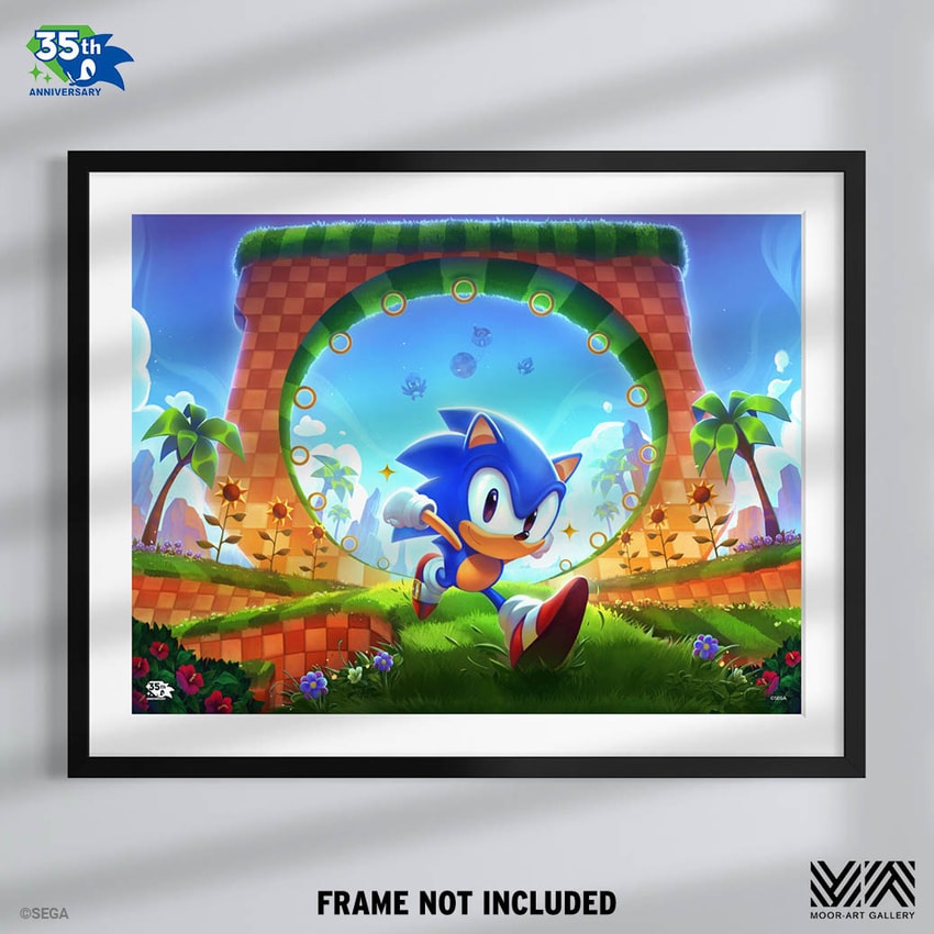 Sonic the Hedgehog Sonic the Hedgehog: First Loop-de-Loop Art Print  View 4