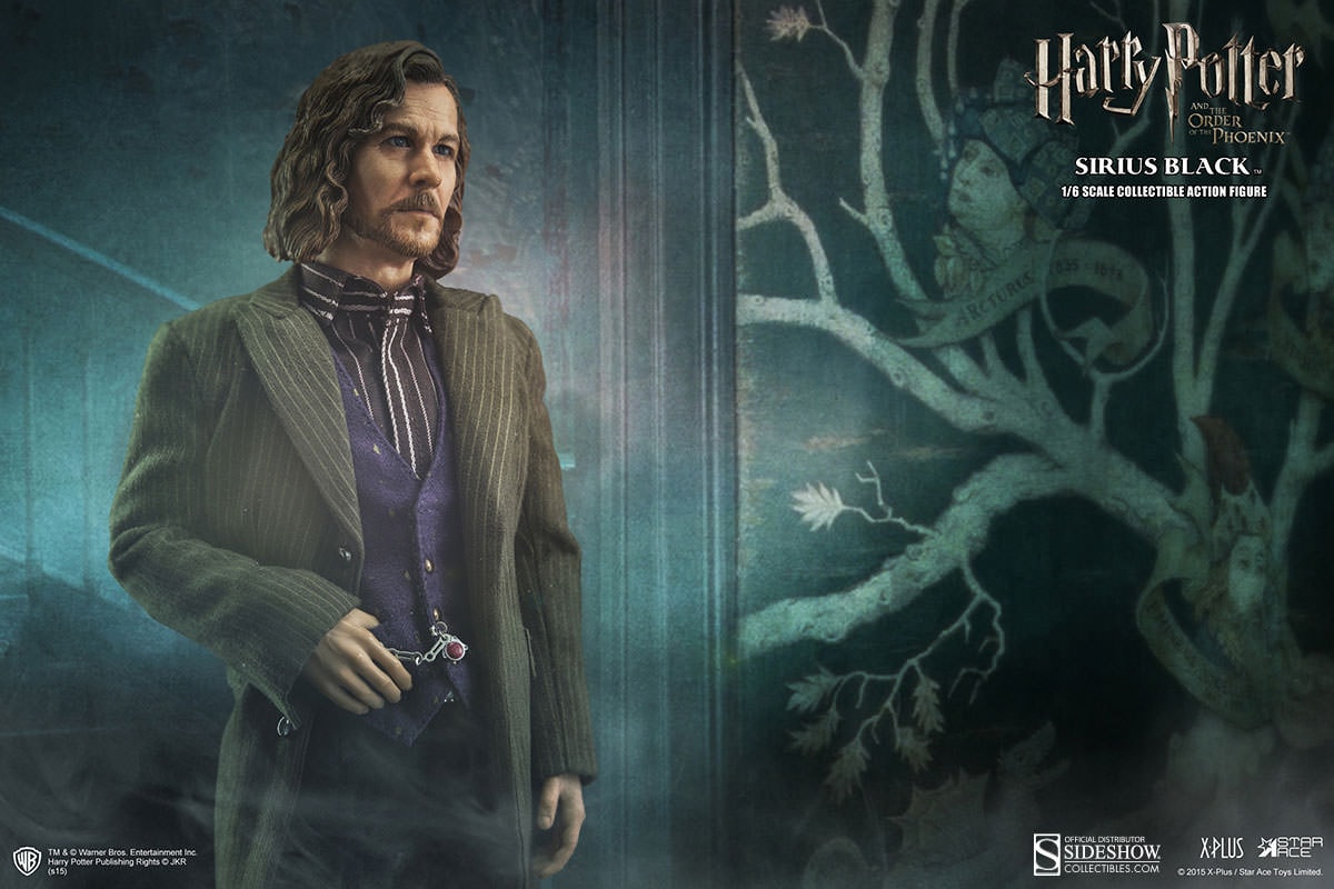 Harry Potter Sirius Black Sixth Scale Figure - Prototype Shown View 5