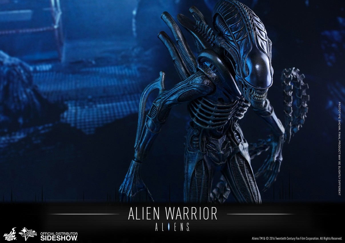 Aliens Alien Warrior Sixth Scale Figure by Hot Toys | Sideshow