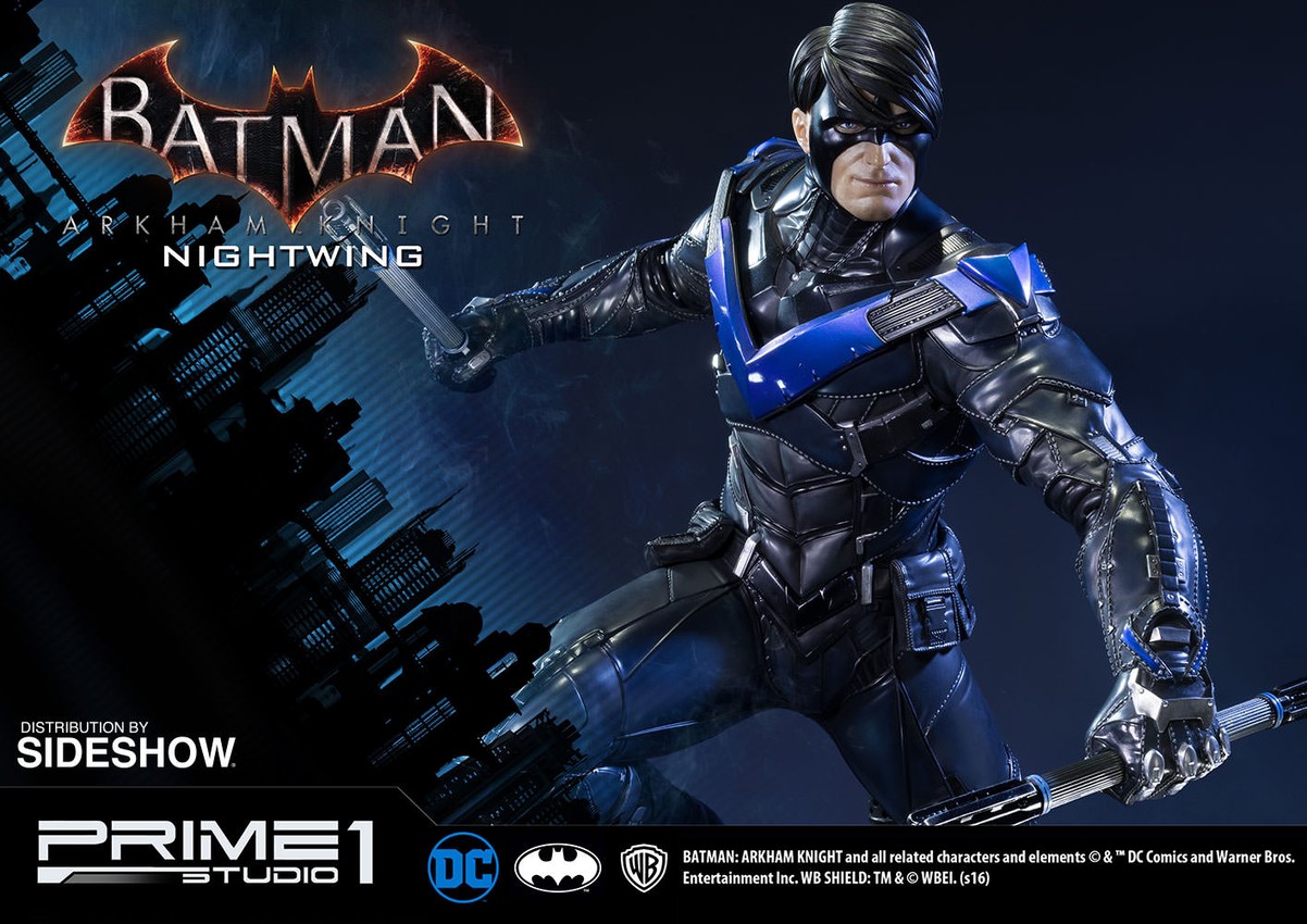Nightwing Collector Edition - Prototype Shown View 2