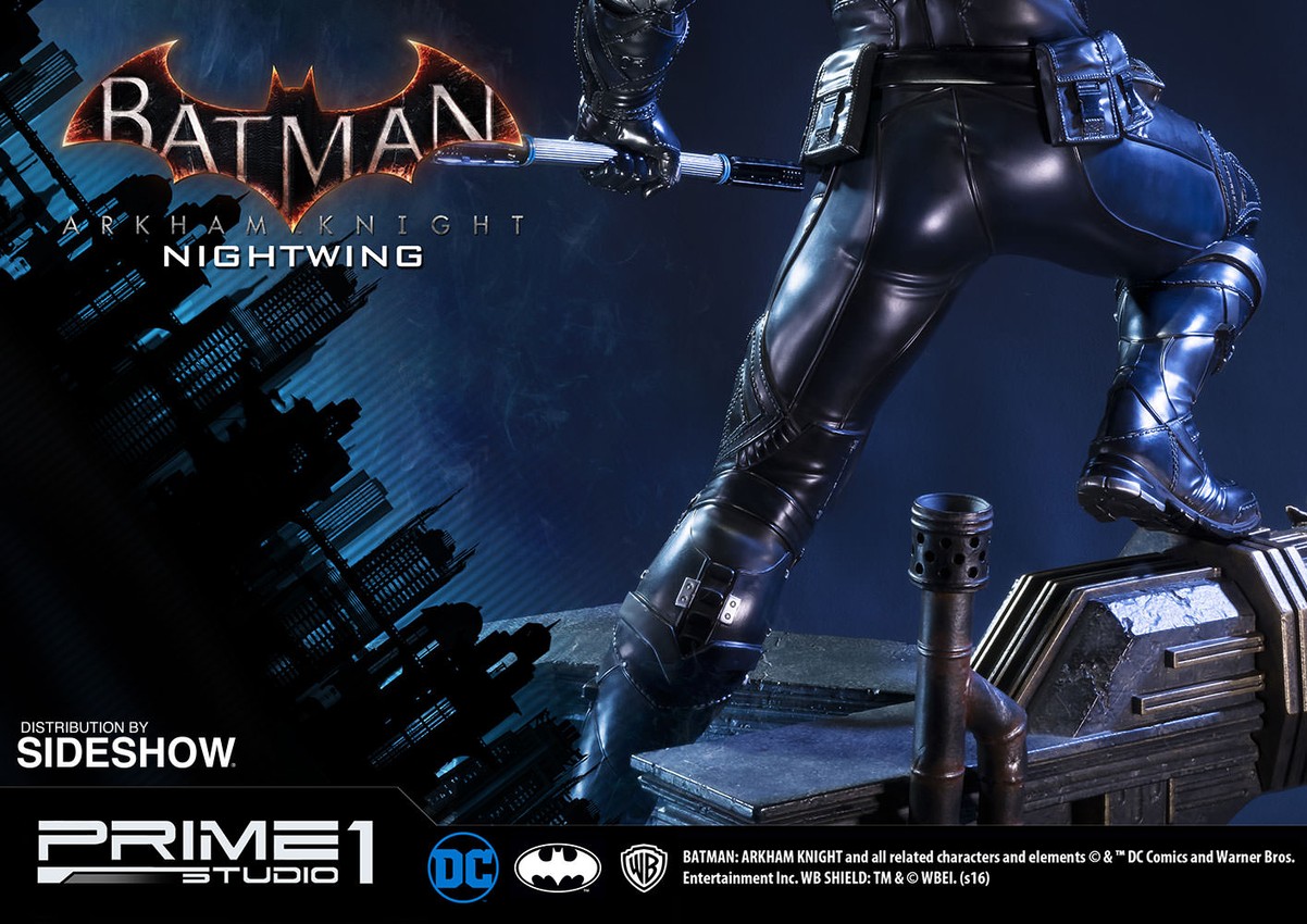 Nightwing Collector Edition - Prototype Shown View 5
