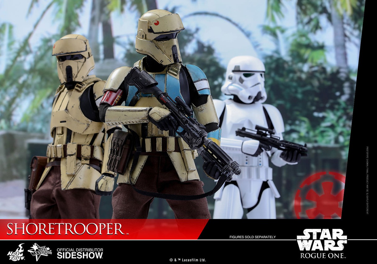 Star Wars Shoretrooper Sixth Scale Figure by Hot Toys | Sideshow