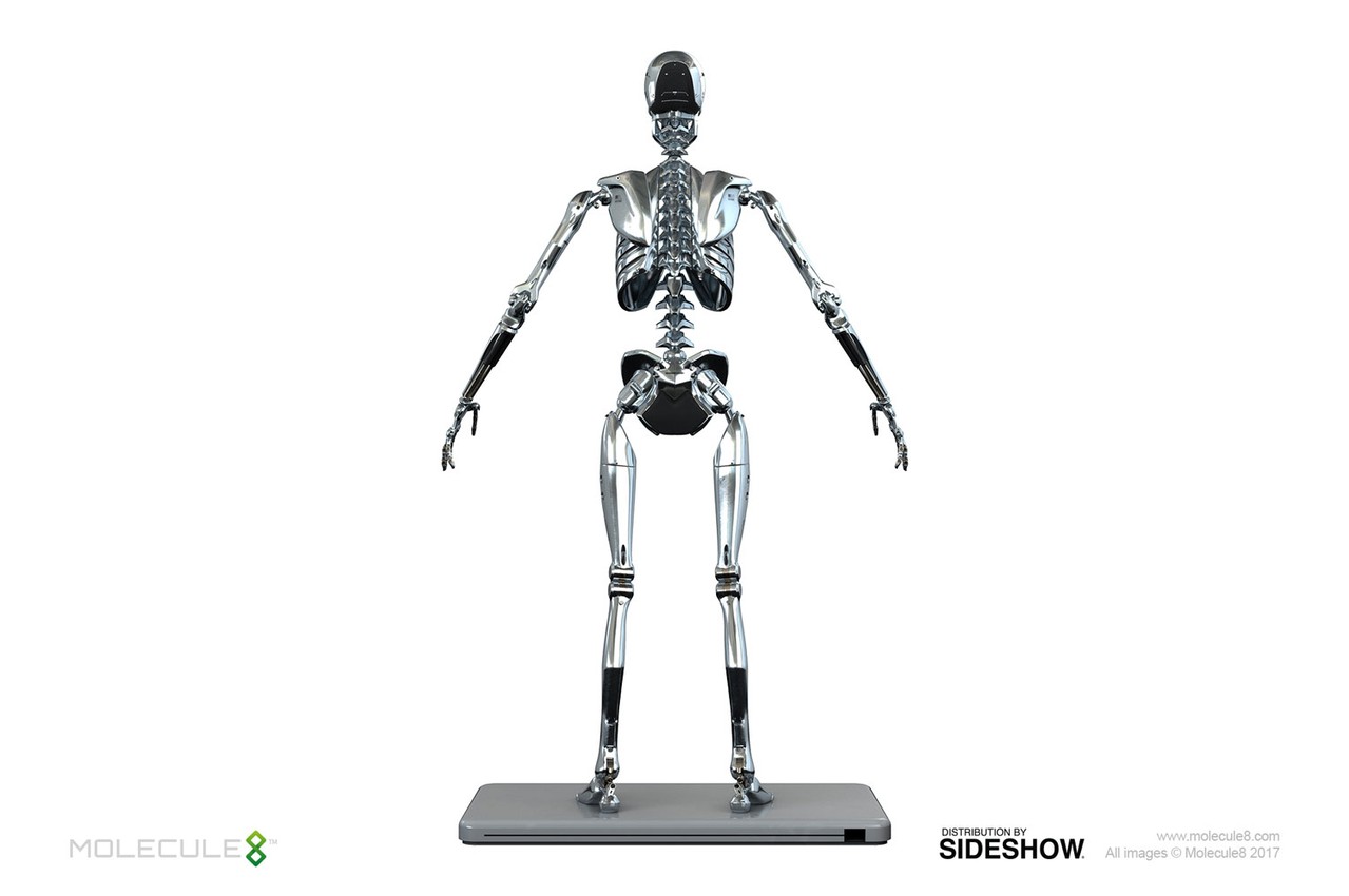 Mark I Endoskeleton Sixth Scale Figure by Molecule8 Ltd