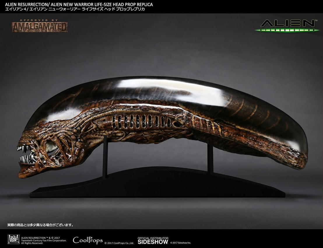 Alien Alien New Warrior Life-Size Head Prop Replica - Prototype Shown View 1