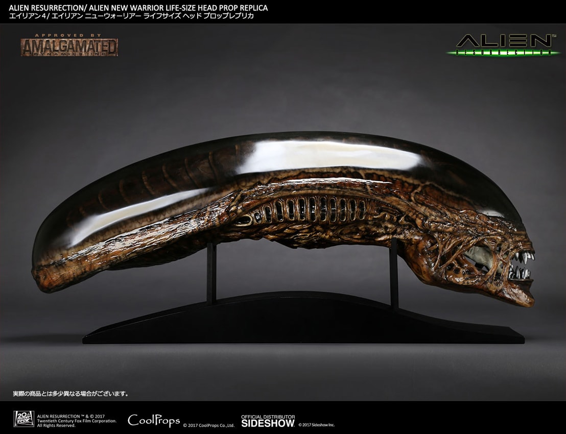 Alien Alien New Warrior Life-Size Head Prop Replica - Prototype Shown View 5