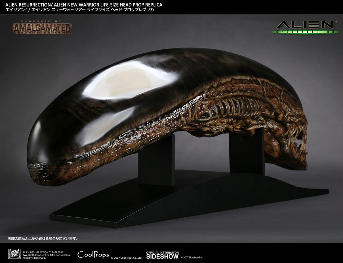 Alien Alien New Warrior Life-Size Head Prop Replica by CoolP