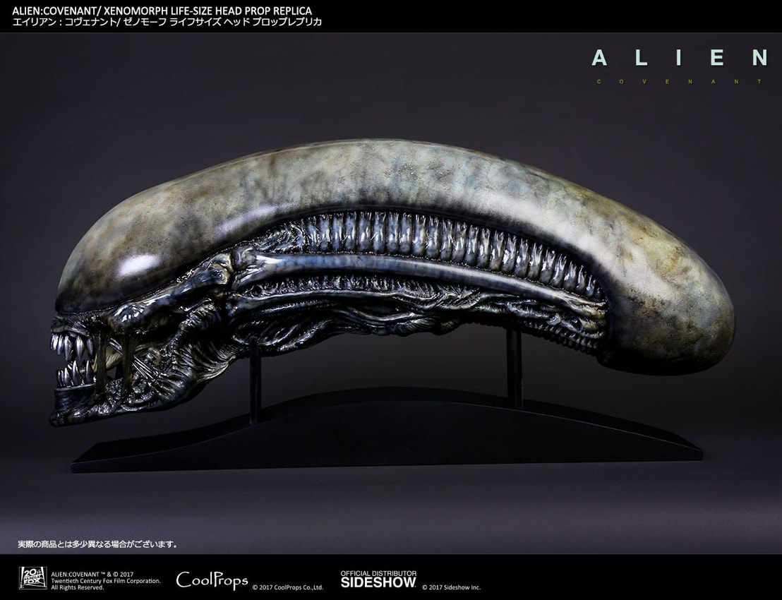 Xenomorph Life-Size Head- Prototype Shown View 1
