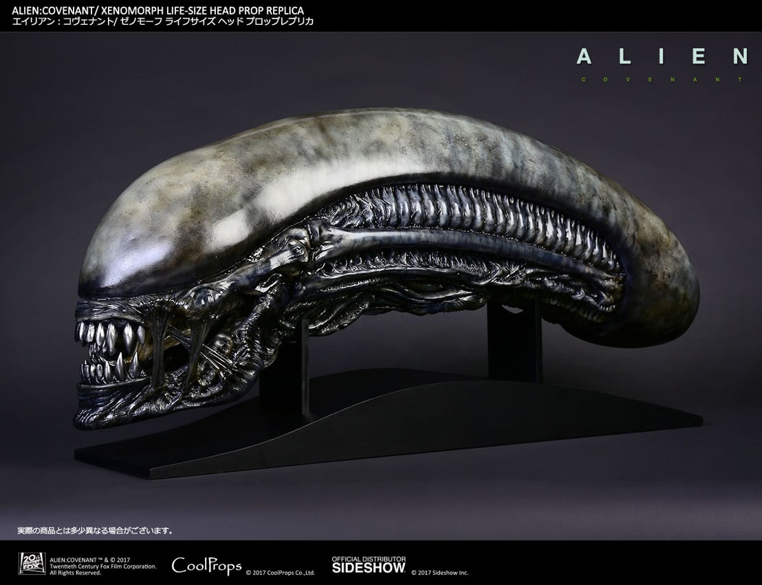 Xenomorph Life-Size Head- Prototype Shown View 2