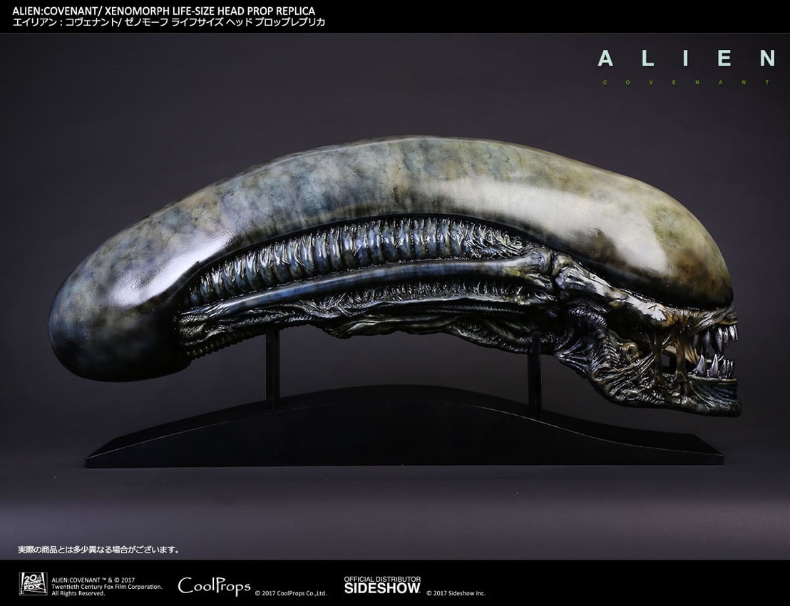 Xenomorph Life-Size Head- Prototype Shown View 5