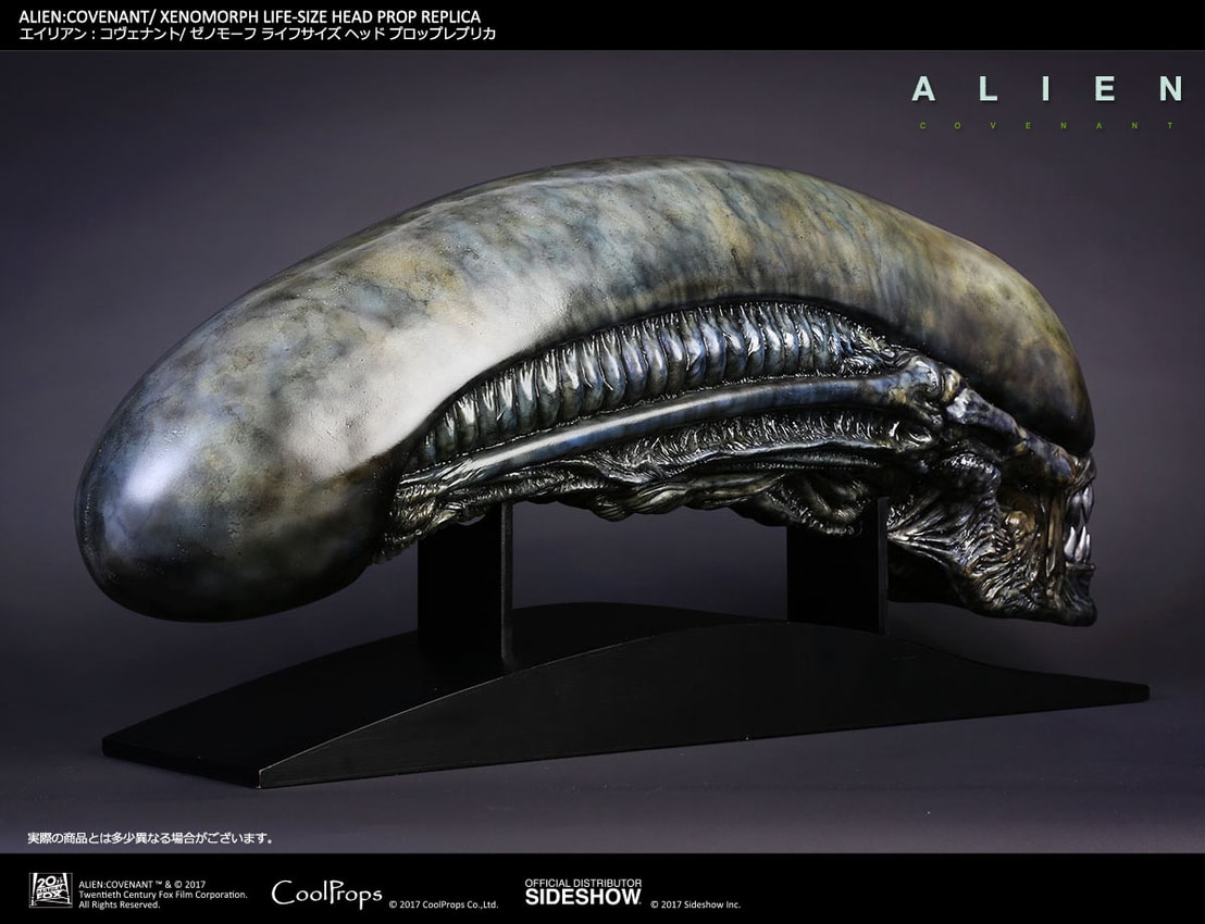 Alien: Covenant Xenomorph Life-Size Head Prop Replica - Prototype Shown View 6