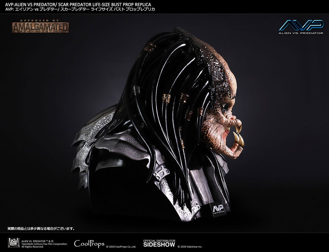 Alien VS Predator Scar Predator Life-Size Bust by CoolProps
