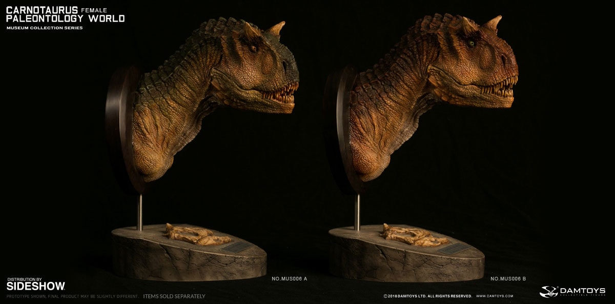 Carnotaurus Female Bust - Prototype Shown View 6