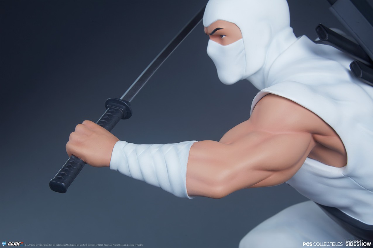 Storm Shadow Collector Edition  View 2