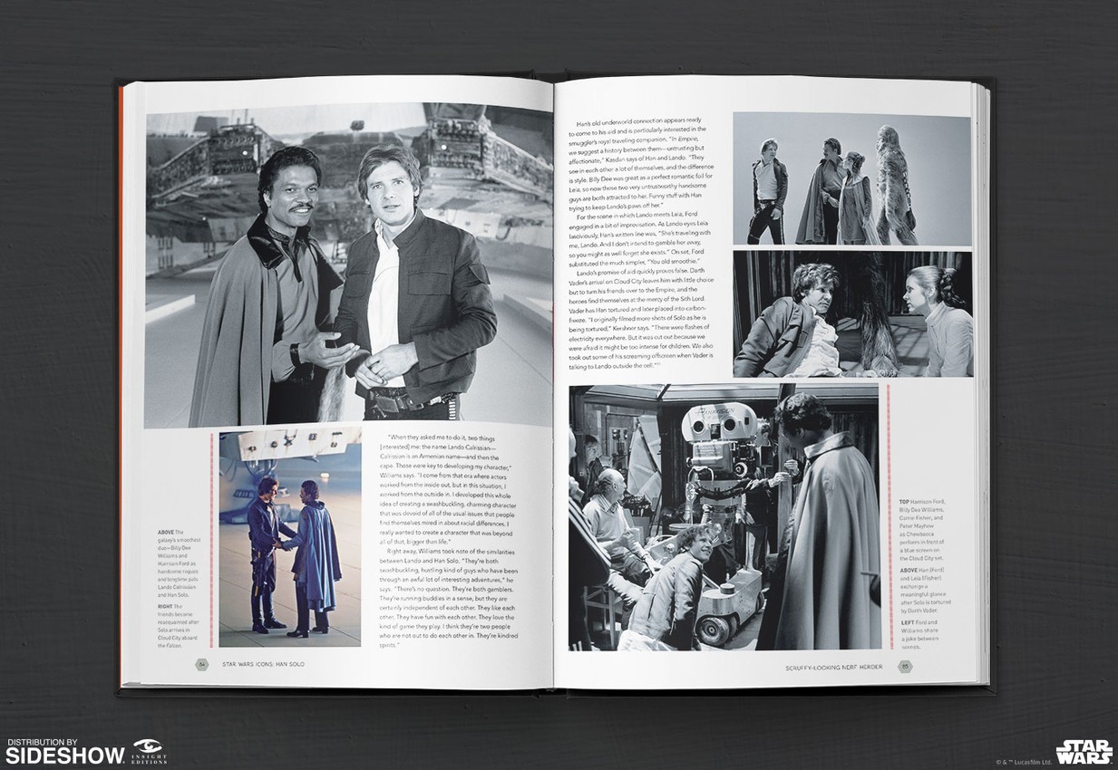 Star Wars Icons Han Solo- Prototype Shown View 4