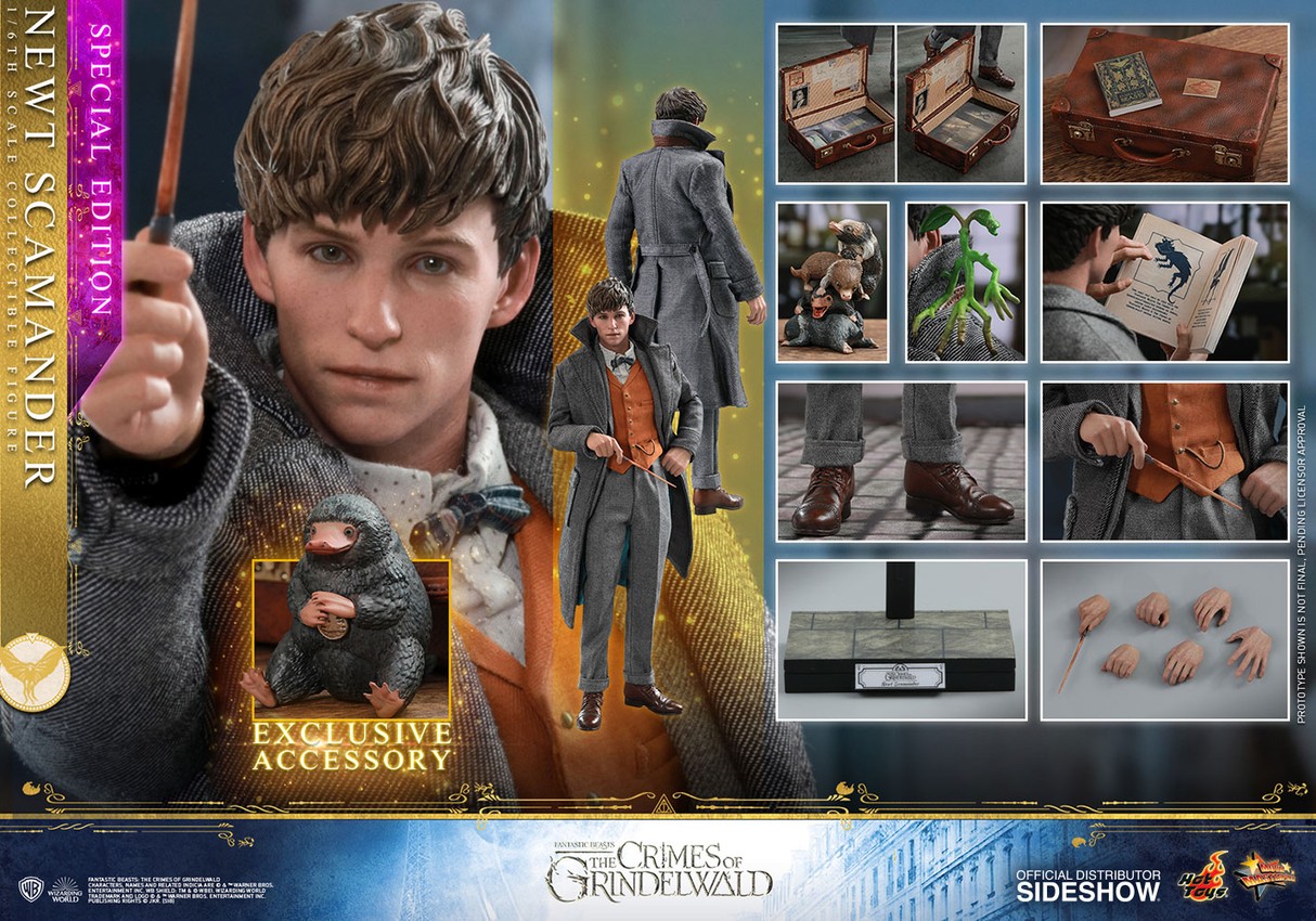 Fantastic Beasts The Crimes of Grindelwald Newt Scamander Special Edition Sixth Scale Figure  Exclusive Edition - Prototype Shown View 1