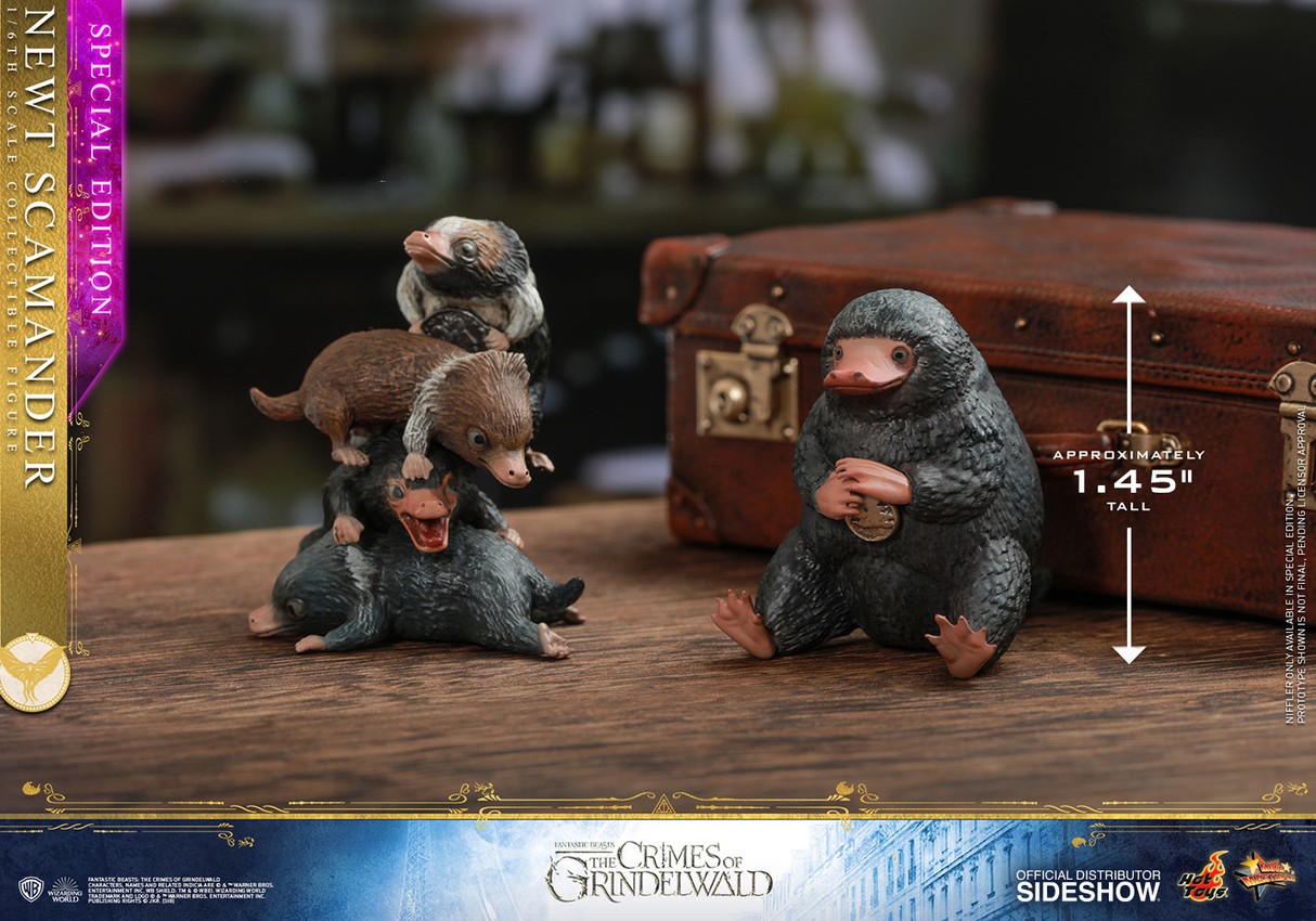 Hot toys outlet newt scamander