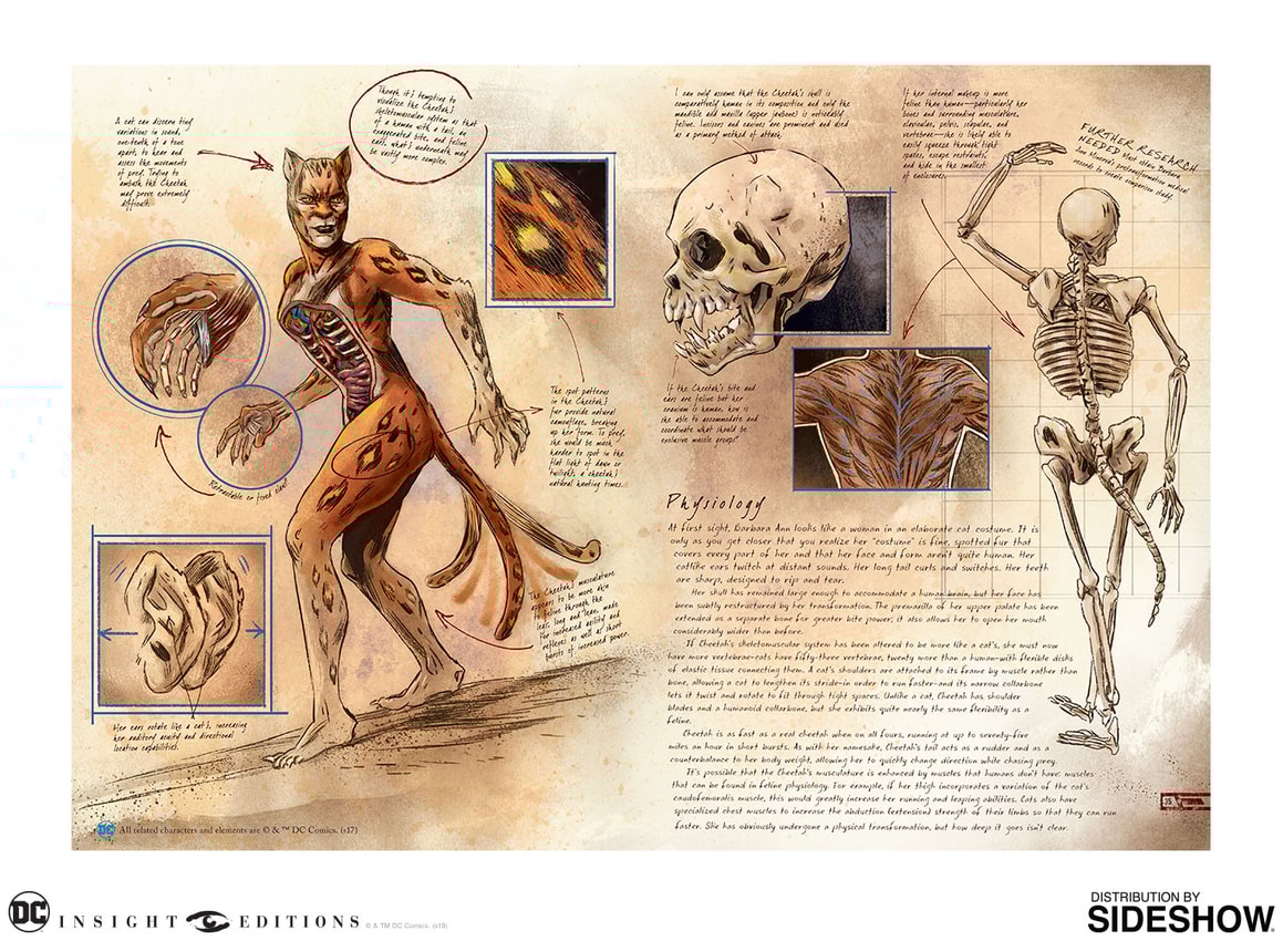 DC Comics: Anatomy of a Metahuman