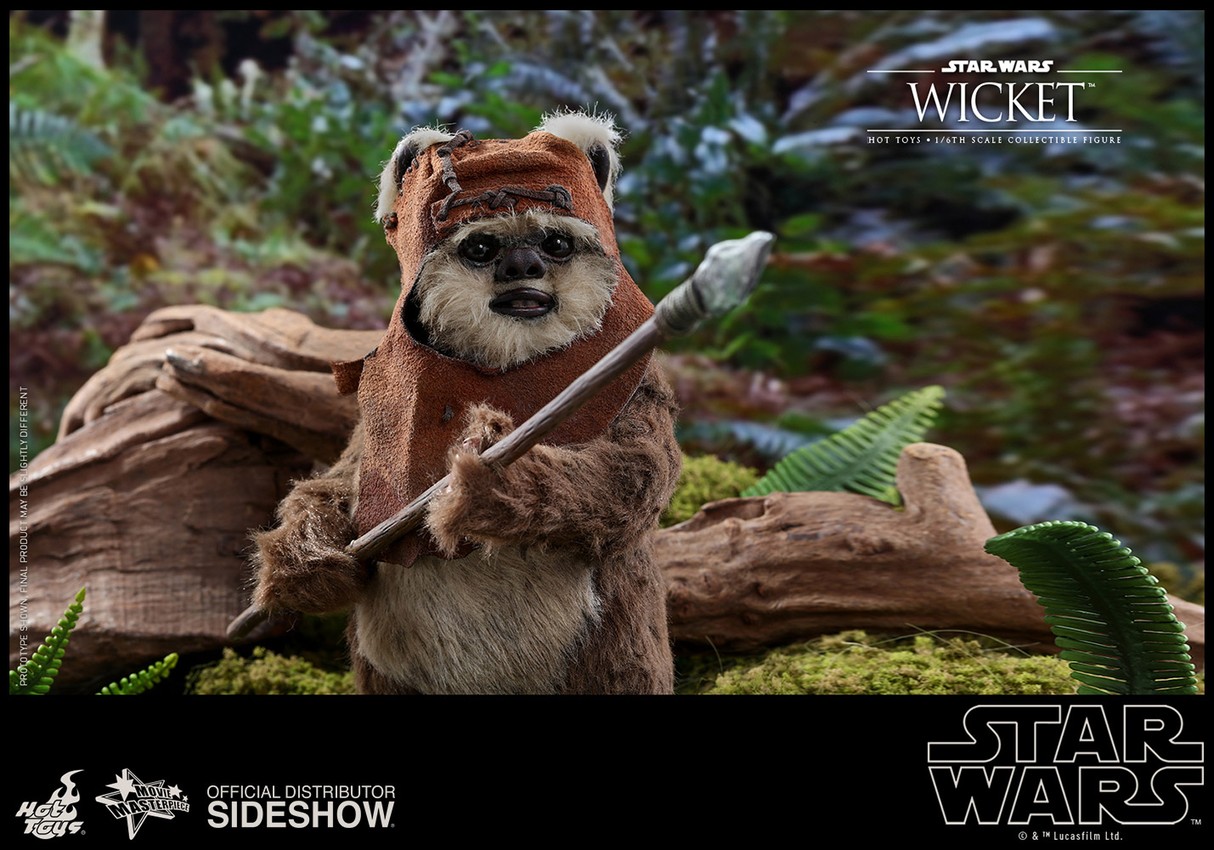 Star Wars Wicket ホットトイズ Star Wars Wicket Sixth Scale Figure by Hot Toys | Sideshow