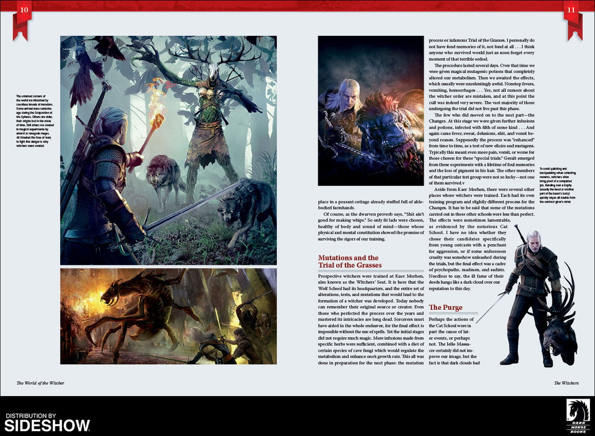 The World of The Witcher- Prototype Shown View 2
